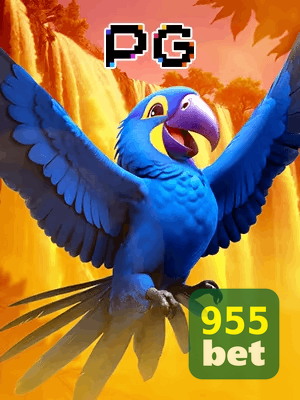 955BET bônus — cashback 15 por cento e níveis VIP